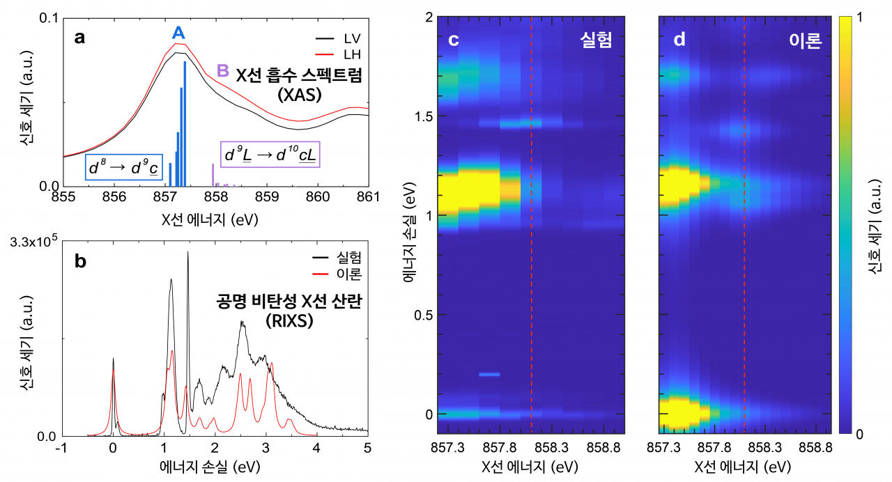 2차원 자성물질에 대한 X선 흡수 스펙트럼과 공명 비탄성 X선 산란실험 및 다체계산 모식도.[IBS 제공]