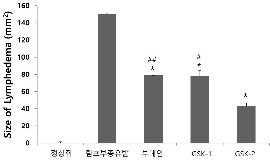 동물실험 림프부종 크기 감소결과 그래프. [경기도 제공]