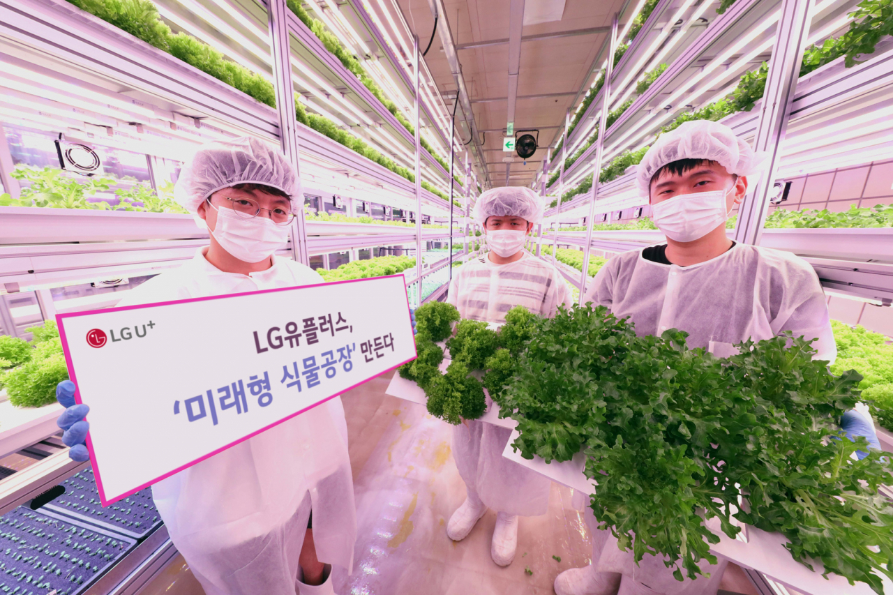LG유플러스와 LG CNS, 팜에이트가 스마트팜 사업 추진을 위해 손잡았다.사진은 서울 지하철 상도역 내에 위치한 스마트팜의 모습. [LG유플러스 제공]