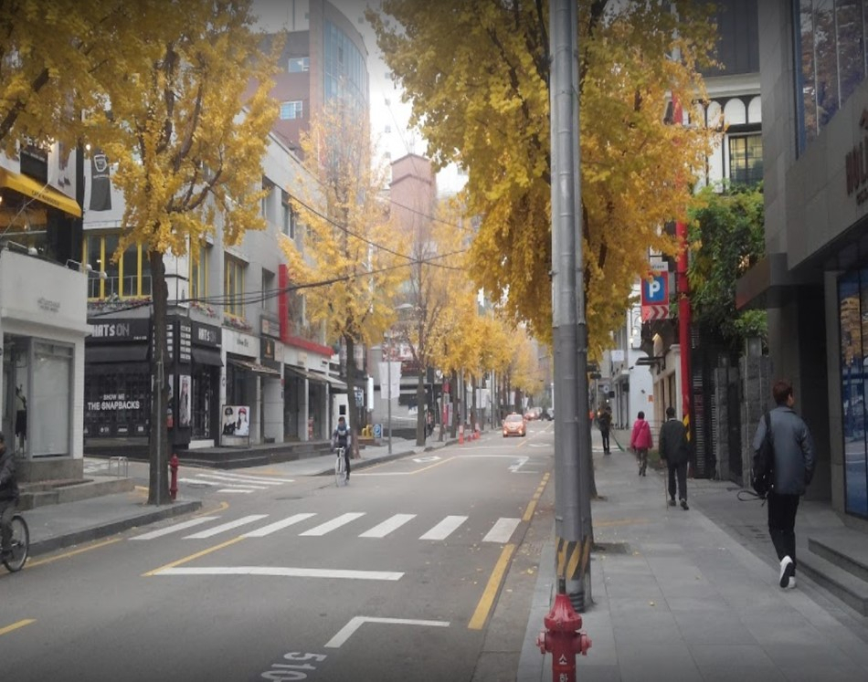 강남구 가로수길 전경 모습. [강남구 제공]