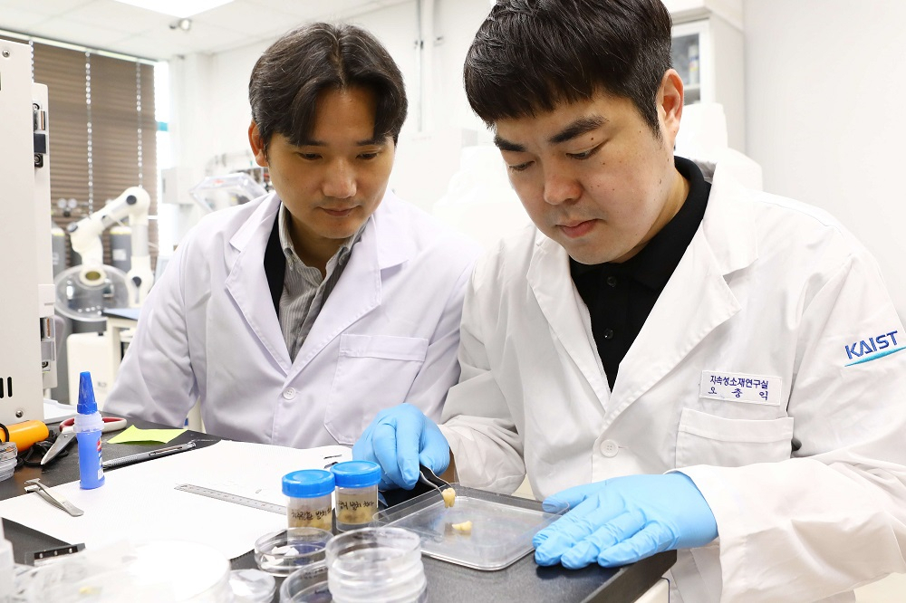 홍승범(왼쪽) KAIST 신소재공학과 교수와 오충익 연구원이 탄산음료에 부식된 치아샘플을 관찰하고 있다.[KAIST 제공]