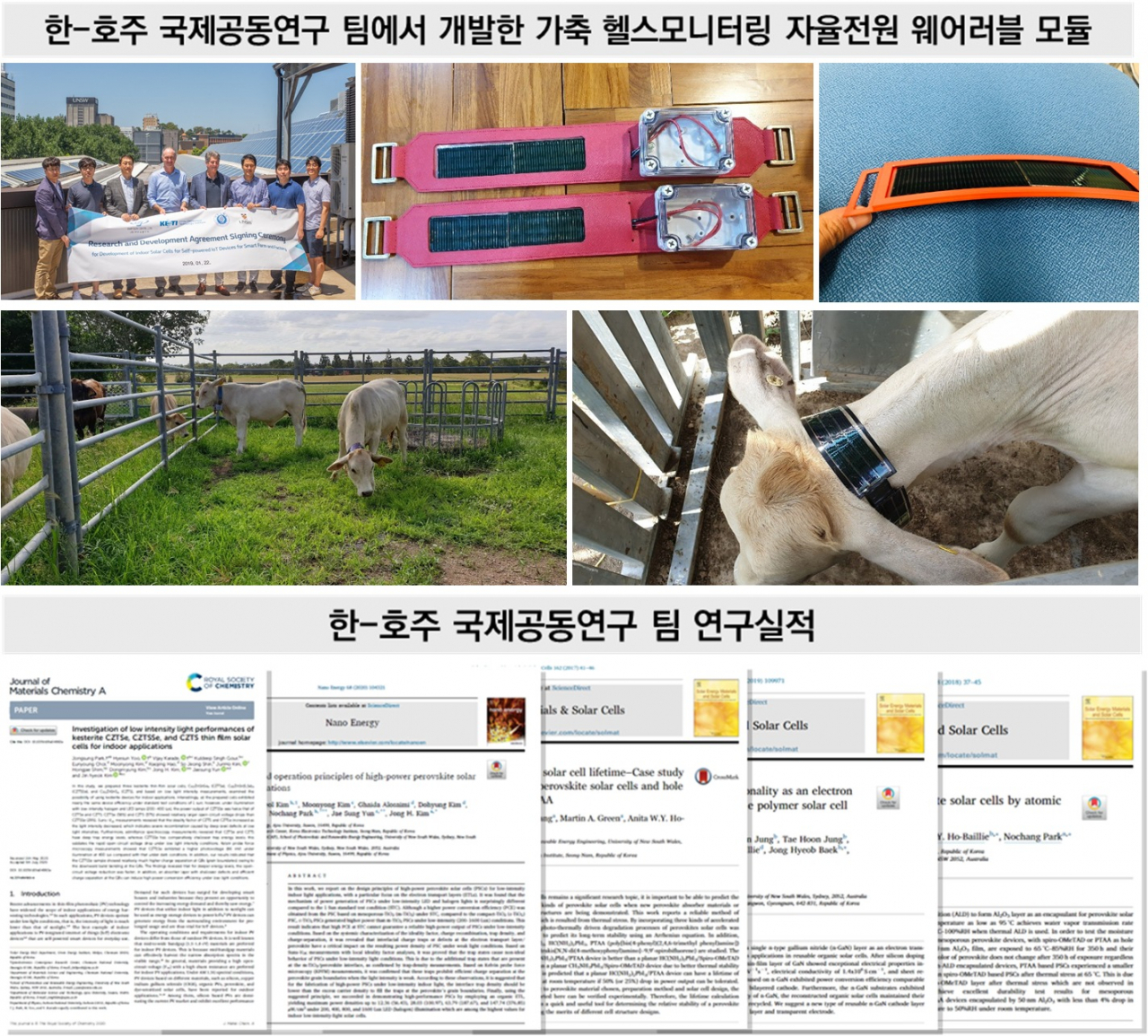 한국호주공동연구팀.
