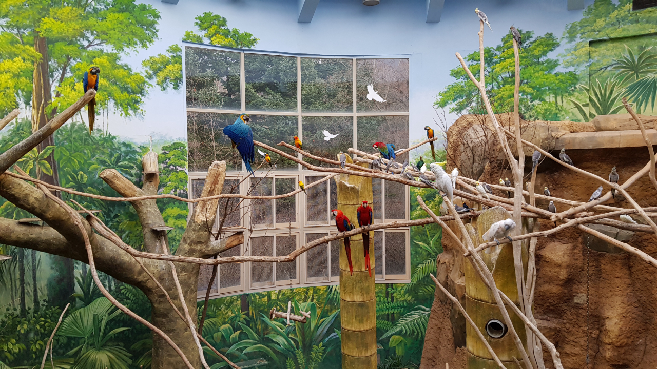 서울대공원, 8월부터 식물원·실내 동물사 제한적 운영 - 헤럴드경제