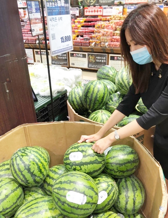 고객이 롯데마트에서 CA(Controlled Atmosphere:기체 제어) 기술로 저장한 수박을 고르고 있다. [사진제공=롯데마트]