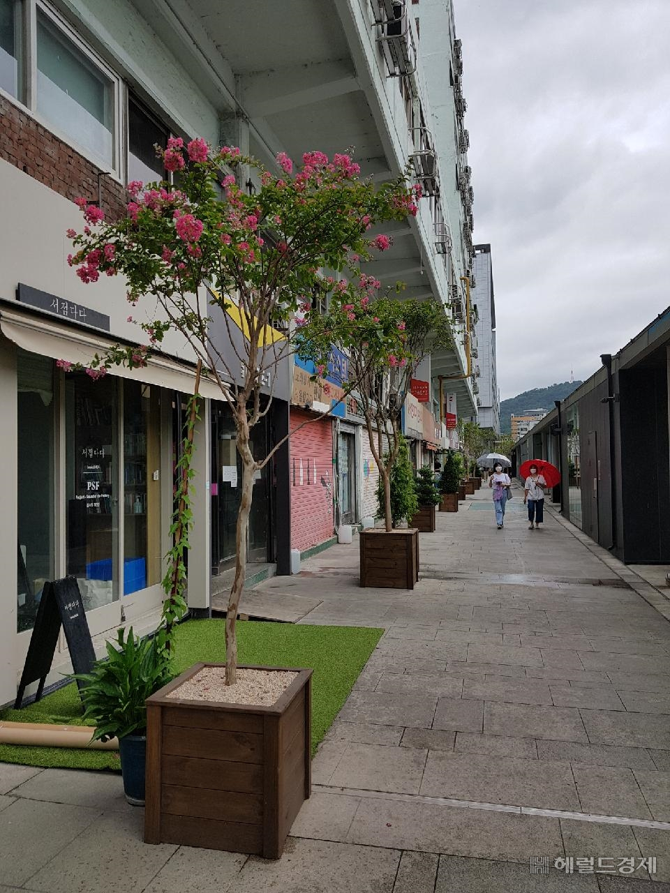 대림·청계상가에 놓여진 대형 화분들. [중구 제공]