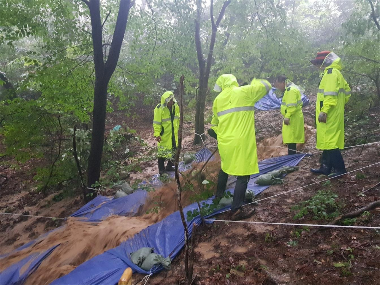 산림청, 임도관리단을 통해 산사태 예방 활동 강화