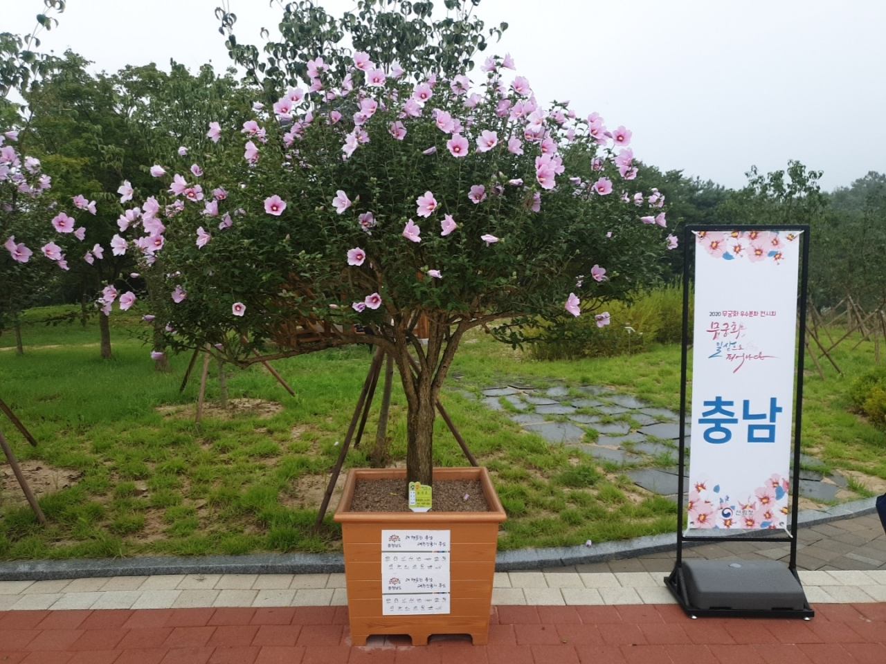 산림청 주관 ‘제30회 나라꽃 무궁화 우수분화 품평회’에서 단체부분 대통령상을 받은 충남도
