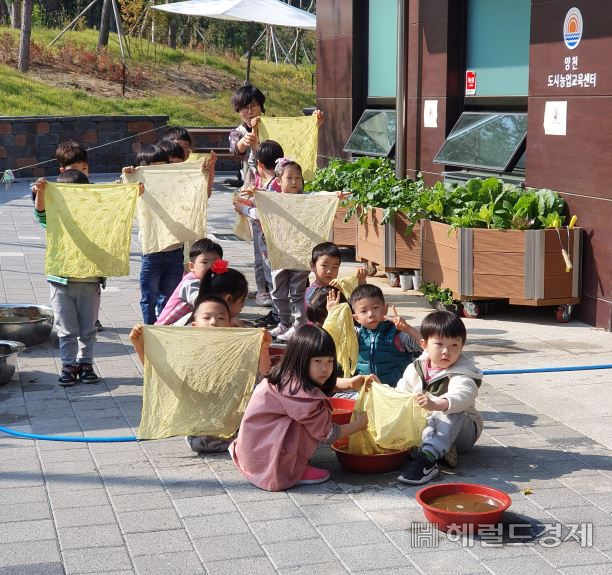 초등학생들이 양천도시농부학교에서 천연염색을 하고 있다. [양천구 제공]