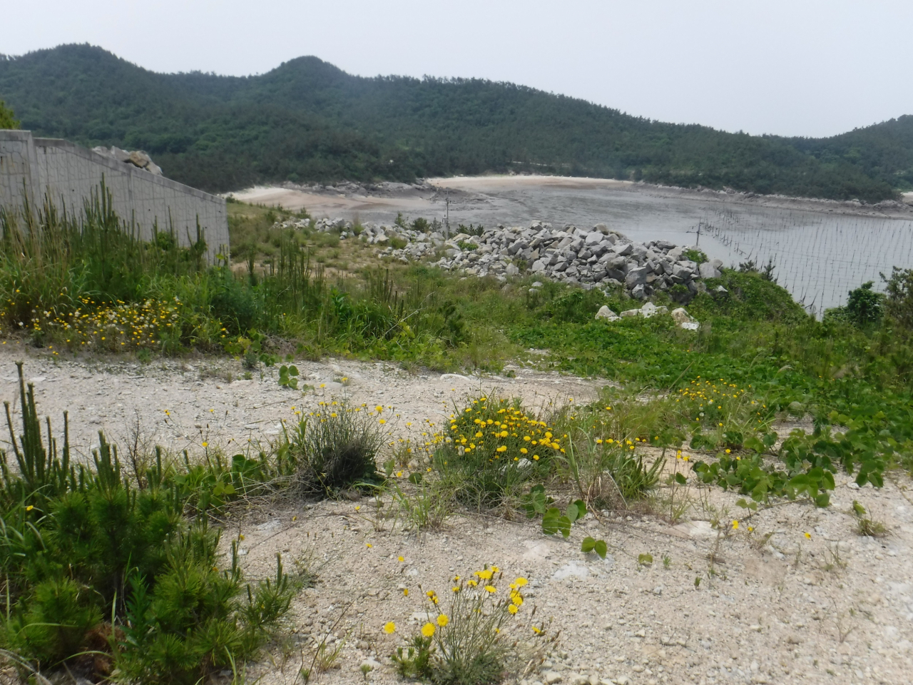 산림청은 독특한 산림생태계를 가지 도서해안 지역의 산림경관 복원을 확대한다. 사진은 공사로 인한 인위적 훼손지역