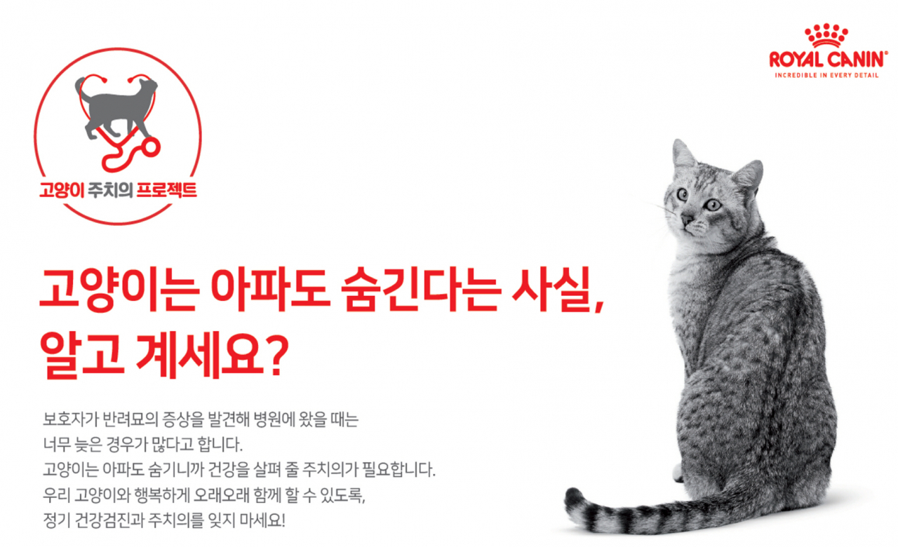 로얄캐닌 ‘고양이 주치의 프로젝트’ [사진=로얄캐닌]