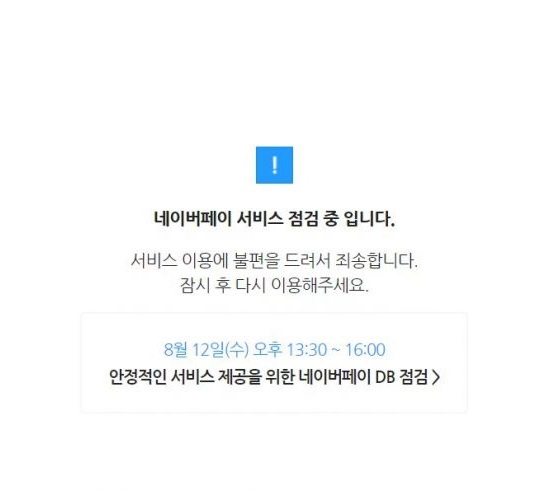 “먹통되면 1초당 80만원 증발”…‘문어발 페이’의 함정 [IT선빵!]