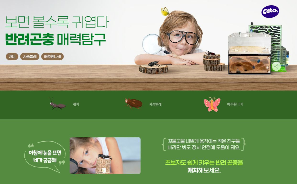 G마켓의 콘텐츠 큐레이션인 ‘캐치’