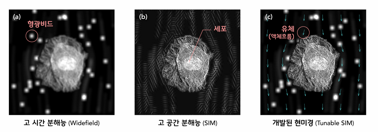 한장의 이미지 내에서 시 공간 분해능의 선택적 강화가 가능한 SIM 현미경의 시뮬레이션 결과.[UNIST 제공]
