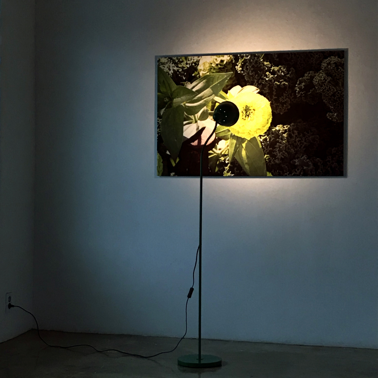 장유정, 자연스러운 자연 #4 , 2019 archival print, ﬂoor standing lamp photography: 66x100 cm, object: 40x40x135 cm [사진제공=갤러리수]