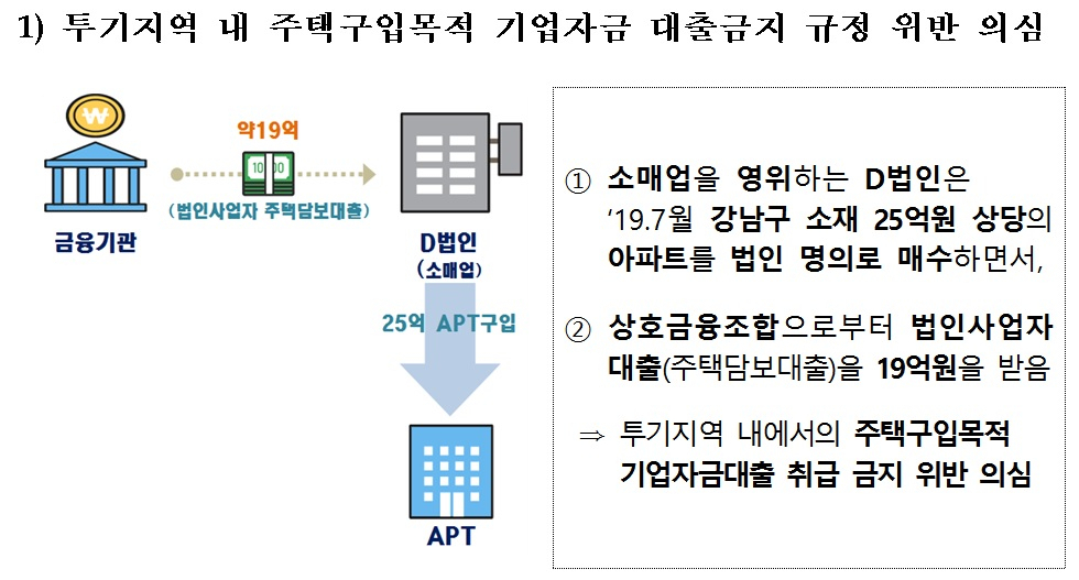 [이미지=정부가 지난 2월 2차 합동조사 결과를 발표할 당시 예시로 들었던 편법대출 의심사례]