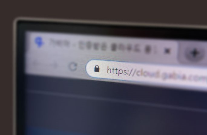 SSL 인증서 자료화면 [가비아 제공]