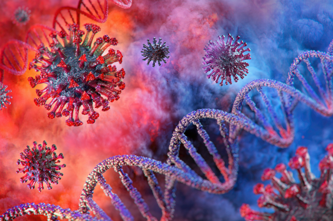 코로나 19