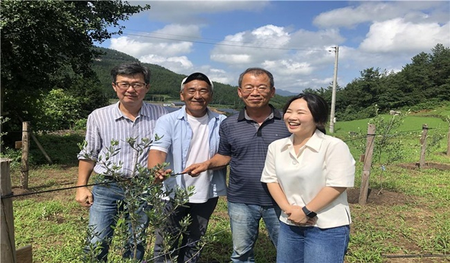전남 고흥 올리브 노지재배 포장지에서 기념촬영한 팜스팜스 가족들. 왼쪽부터 김건년,이윤덕,정영근,김근수씨.