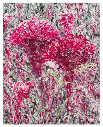 김지원, 맨드라미 Mendrami, 린넨에 유채, 91x73cm, 2018-2019