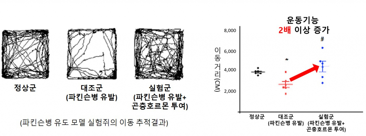 오픈필드 실험 결과