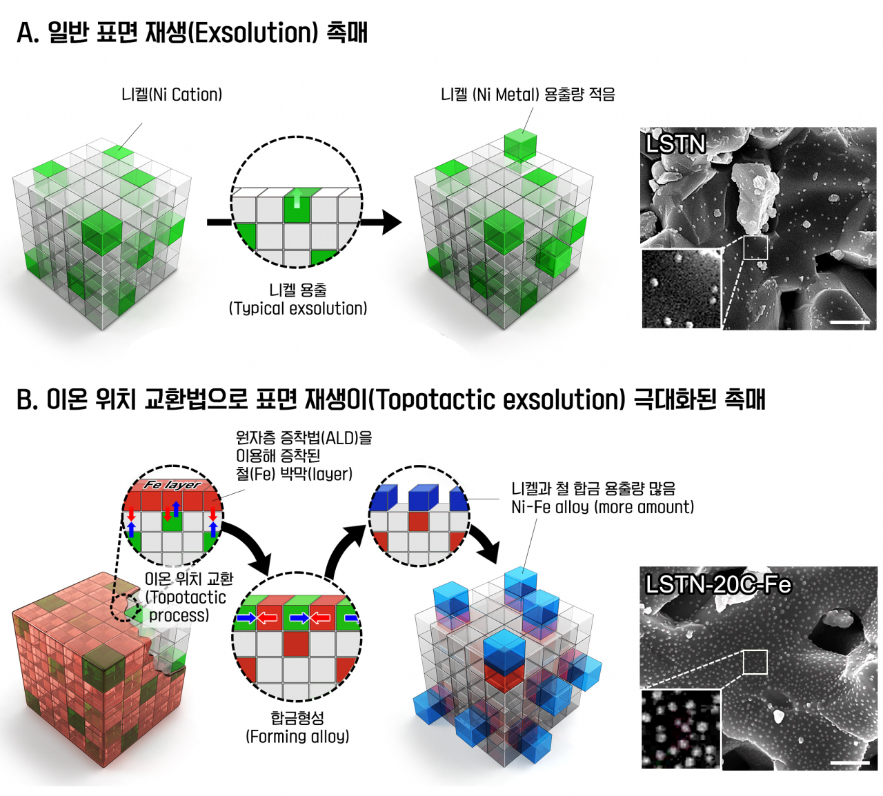 극대화된 이온 위치 교환 현상 모식도. (A)는 기존 스마트 촉매의 자가 재생 과정 (B)는 이온 위치 교환 현상을 이용한 스마트 촉매 자가 재생 과정. (B)의 경우 외부에 균일하고 미세하게 원자층 증착된 철 막이 자리 교체 용출 현상을 더욱 촉진한다. 결과적으로 촉매 역할을 하는 니켈이 전극 표면으로 올라온 수가 급증했다.[UNIST 제공]