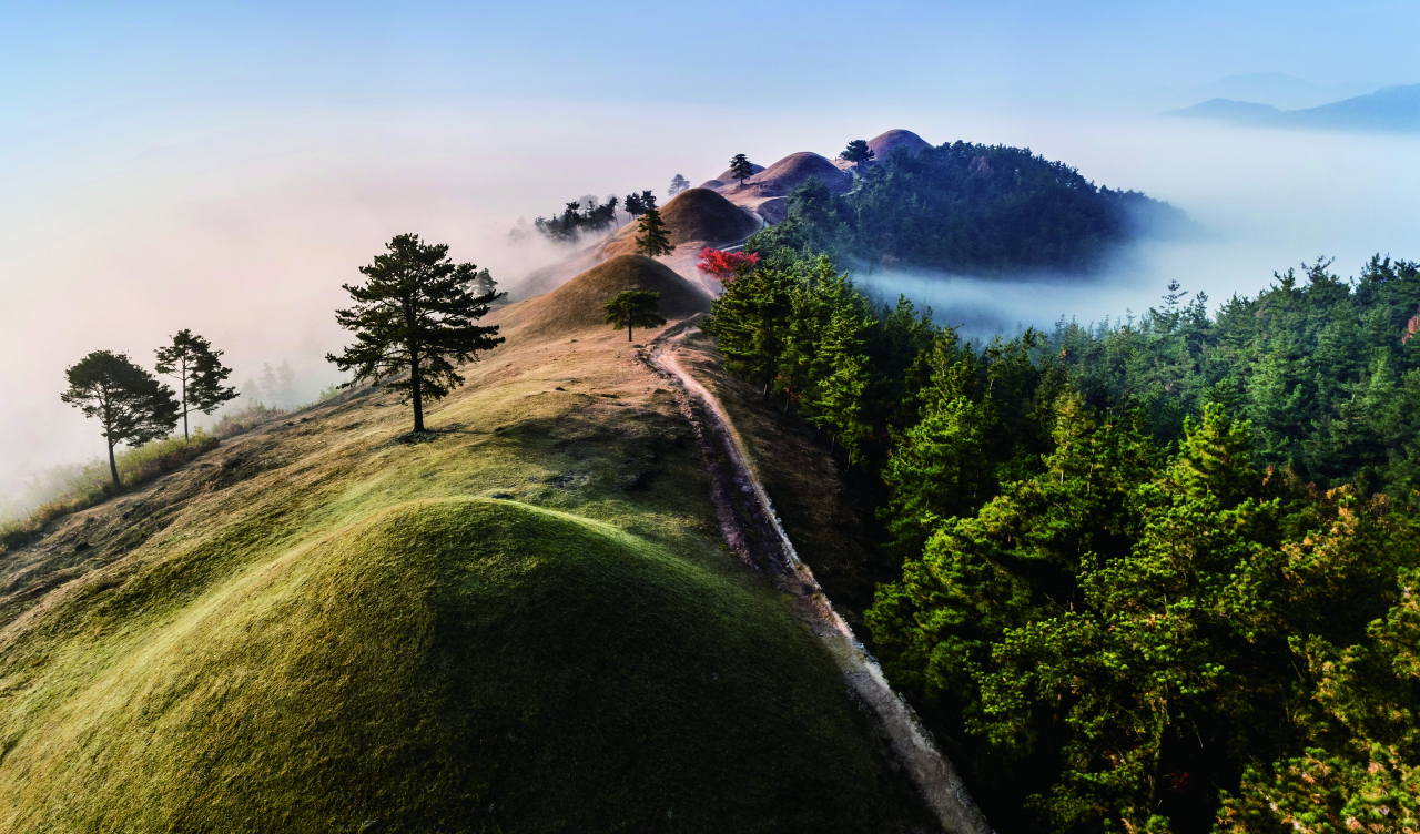 고령지산동