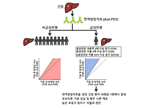 면역항암치료 후 발생하는 간암의 급성진행.[분당차병원 제공]