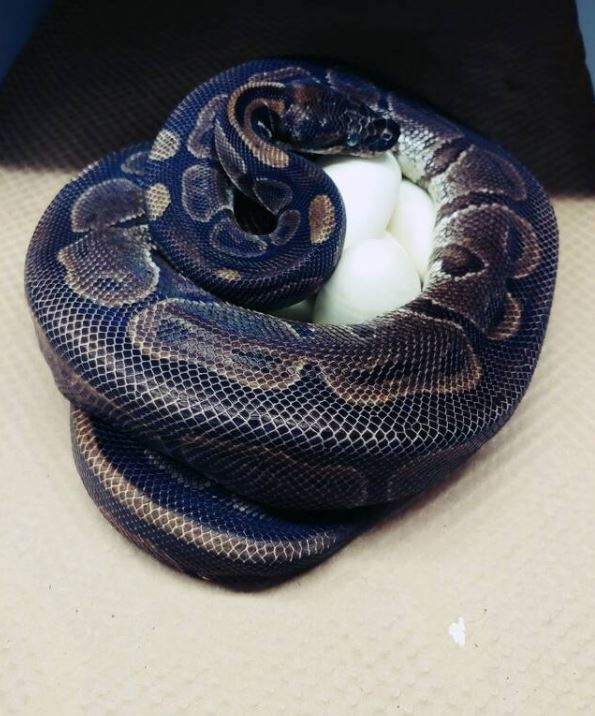 [연합]