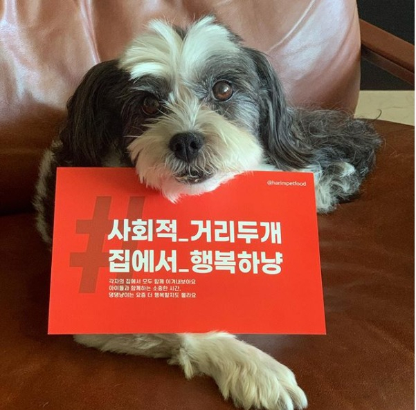 사진=하림펫푸드