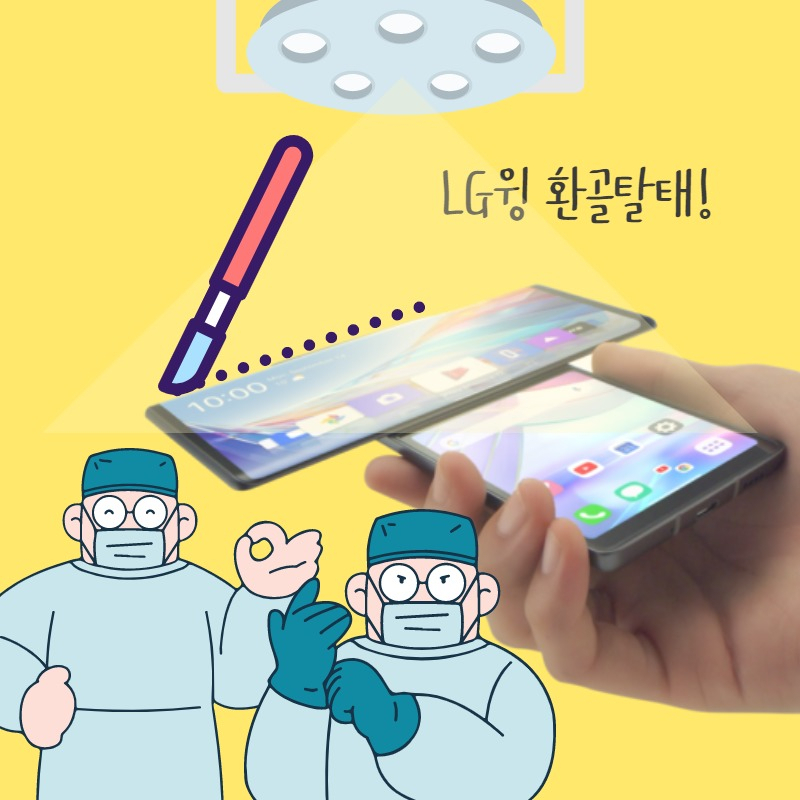 그래픽=박혜림 기자
