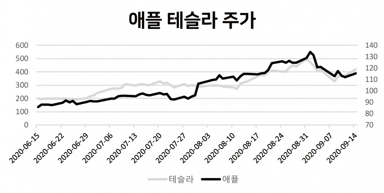골드만삭스 “조정 마무리 국면”…애플 테슬라 다시 급등 - 헤럴드경제
