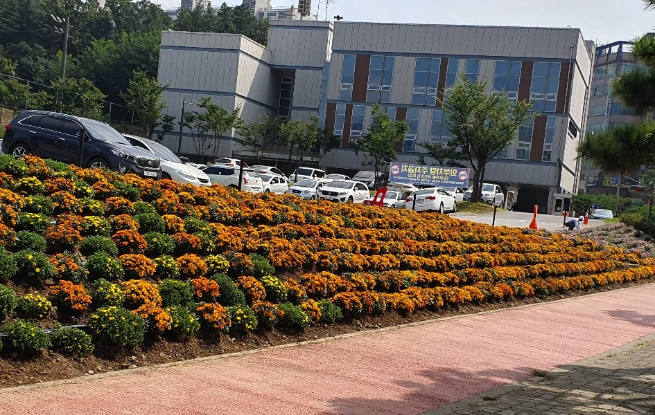 동백2동 화단조성. [용인시 제공]