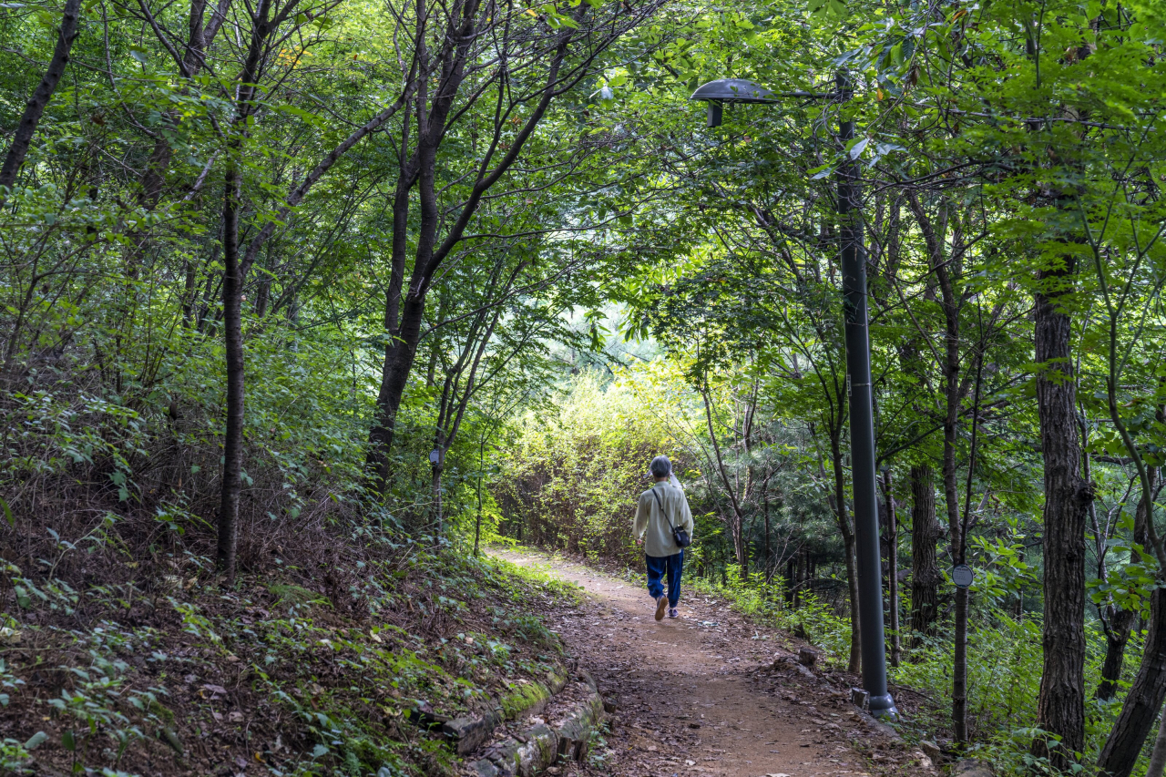 성미산 숲길