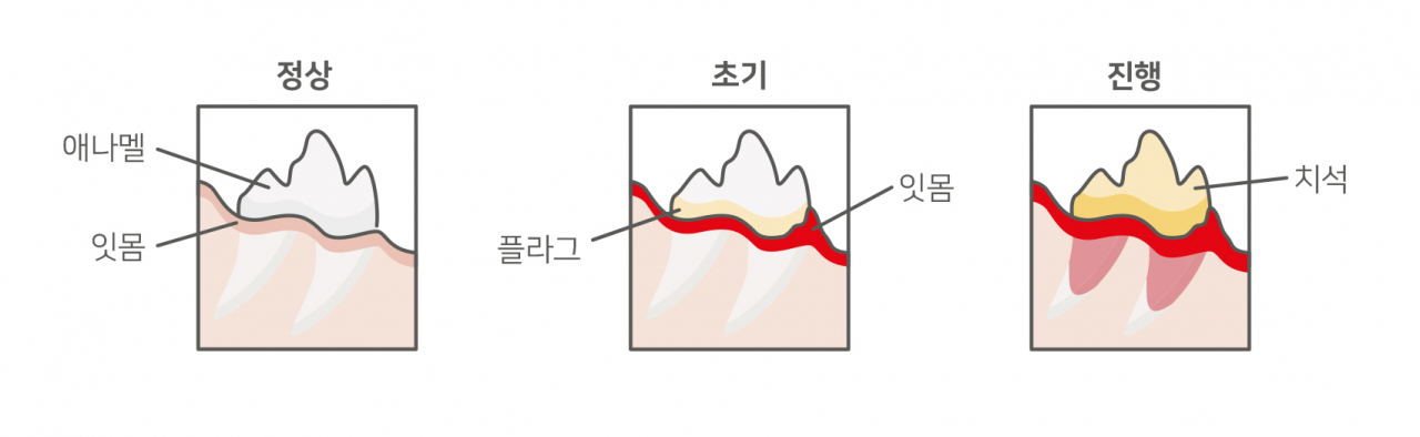 사진=로얄캐닌