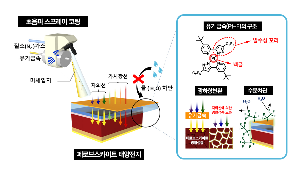 백금 기반 발수성 물질을 이용한 광하향변환 및 수분 차단 모식도.[UNIST 제공]