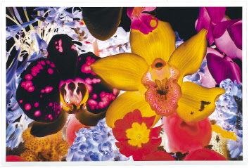 마크 퀸, All the Far Edges of the Universe, 70&times;104cm (edition of 59), pigment print, 2010