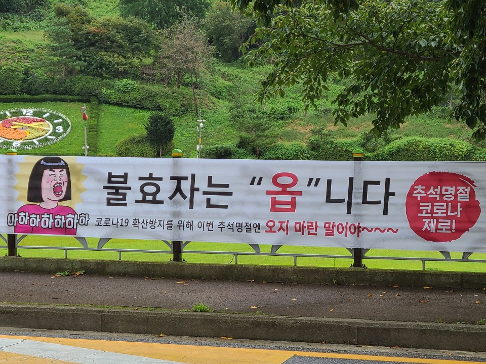 정부가 추석 연휴부터 한글날을 포함한 연휴 기간이 하반기 코로나19 방역에 최대 고비가 될 것이라고 강조하는 가운데 지난 16일 충남 청양군의 한 거리에 ‘고향 방문을 자제해 달라’는 내용의 현수막이 걸려 있다. [청양군 제공]