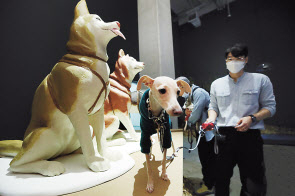 정연두作 ‘토고와 발토-인류를 구한 영웅견 군상’ 앞에선 설채현 수의사와 반려견. [연합]