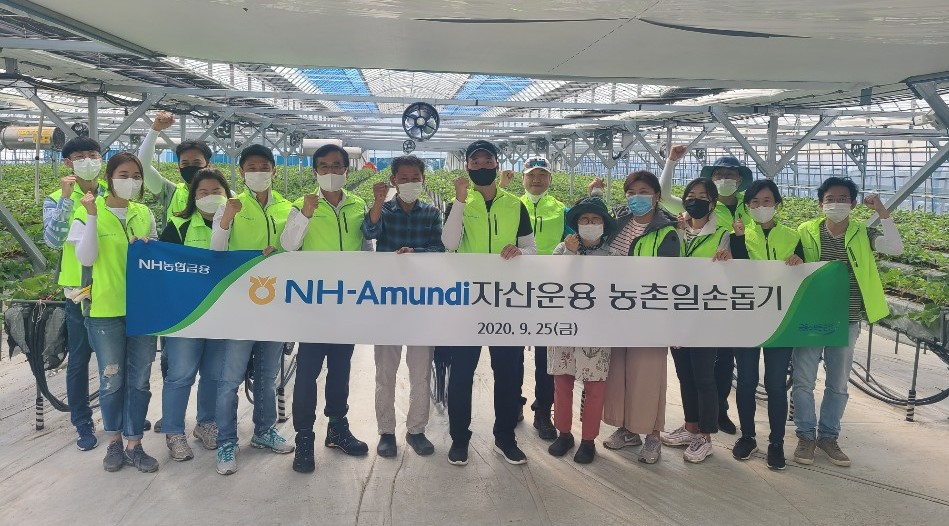 배영훈(왼쪽 여섯 번째) NH-Amundi자산운용 대표이사와 임직원들이 25일 경기도 화성시 양감면 딸기 농가에서 농촌 일손돕기에 참여했다. [NH-Amundi자산운용 제공]