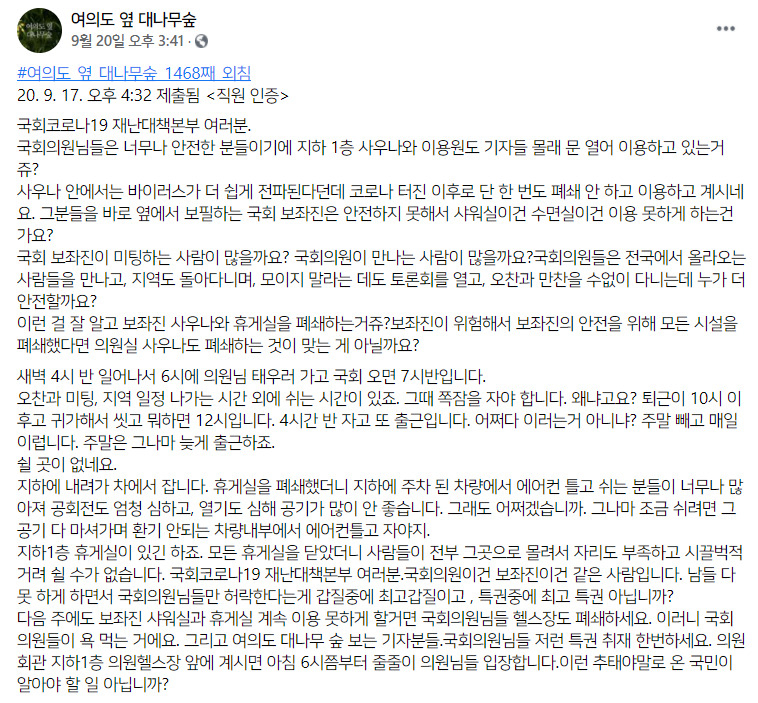 여의도 옆 대나무 숲 캡처.