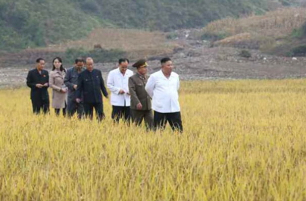북한 노동당 기관지 노동신문은 2일 김정은 국무위원장의 강원도 김화군 수해복구현장 현지지도소식을 전하면서 여동생 김여정 노동당 제1부부장이 동행했다고 보도했다. 김 제1부부장의 활동이 북한 관영매체를 통해 보도된 것은 두달여 만이다. [헤럴드DB]
