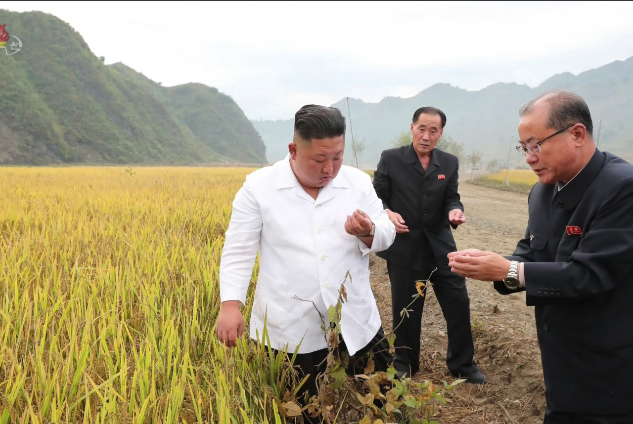 북한 김정은 국무위원장이 강원도 김화군 수해 복구 현장을 현지지도했다고 2일 조선중앙TV가 보도했다. 김 위원장이 벼 낟알을 살펴보고 있다.[조선중앙TV 화면 캡처] [국내에서만 사용가능. 재배포 금지. For Use Only in the Republic of Korea. No Redistribution] [연합]