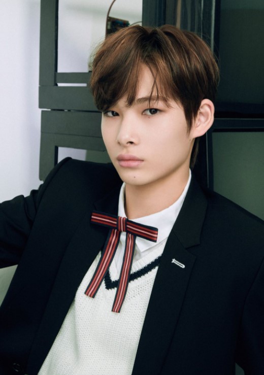 Meet the seven members of K-pop super rookie band Enhypen - The