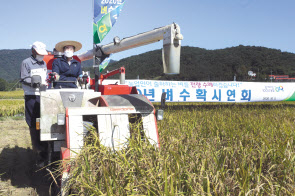 이성희(오른쪽) 농협중앙회장이 5일 전남 담양군에서 열린 ‘2020년 벼수확시연회’에서 콤바인으로 벼 수확을 하고 있다. [농협 제공]