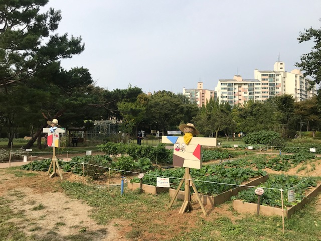 양천구 신트리공원 전경 모습. [양천구 제공]