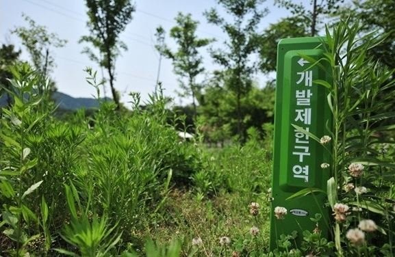 최근 10년간 개발제한구역(그린벨트)에 설치된 태양광 에너지 설비가 축구장 75개 면적에 달하는 것으로 나타났다.[연합]