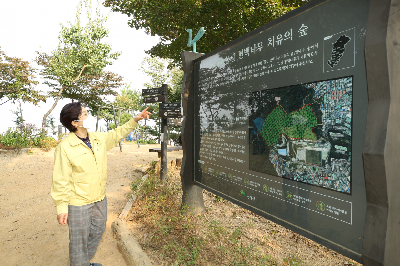 김미경 은평구청장이 은평 편백나무 치유의 숲 현장을 둘러보고 있다. [은평구 제공]