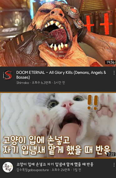 커뮤니티에 공유된 엉뚱한 유튜브 알고리즘 추천 사례