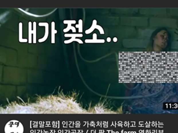 커뮤니티에 공유된 엉뚱한 유튜브 알고리즘 추천 사례