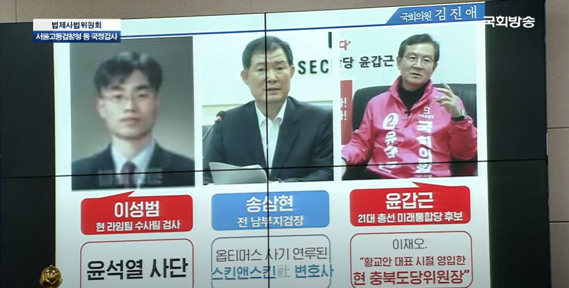 법사위 소속 김진애 열린민주당 의원이 언급한 접대 검사 3명. [국회방송 캡처]